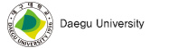 Daegu University